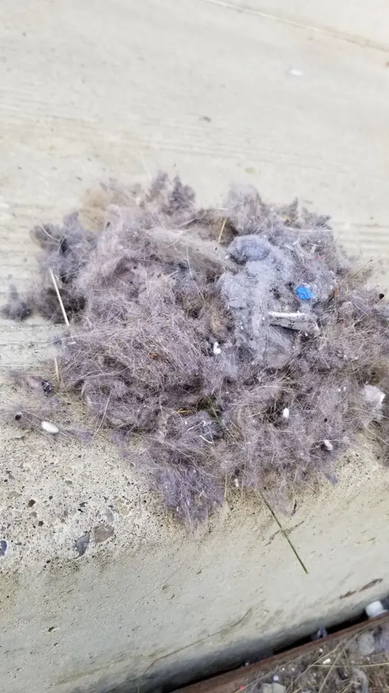 A pile of grey lint pulled from a customer's dryer vent